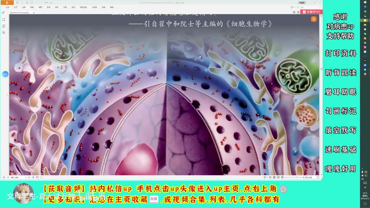 3.1细胞膜的结构和功能