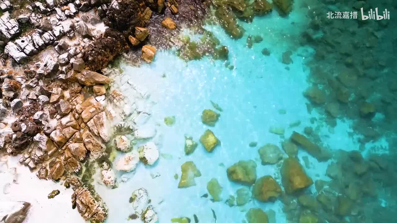 羽根 (羽翼) - 折户伸治