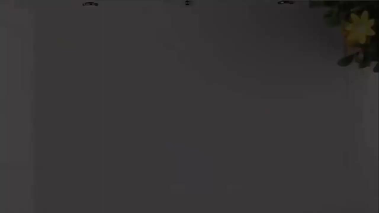 14.1.6-03-多项式除以单项式