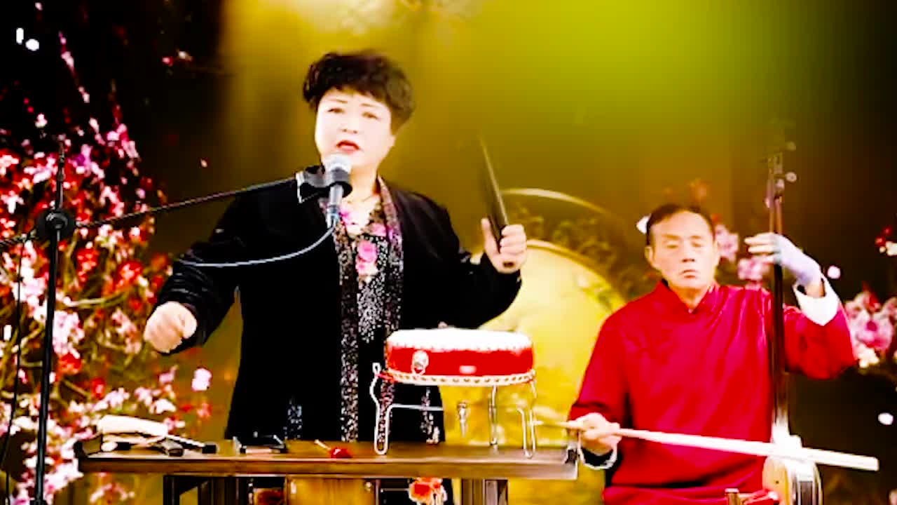 河南坠子 · 《呼家将》肖计英（23）