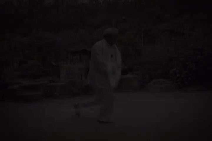 杨式太极拳85式教学8
