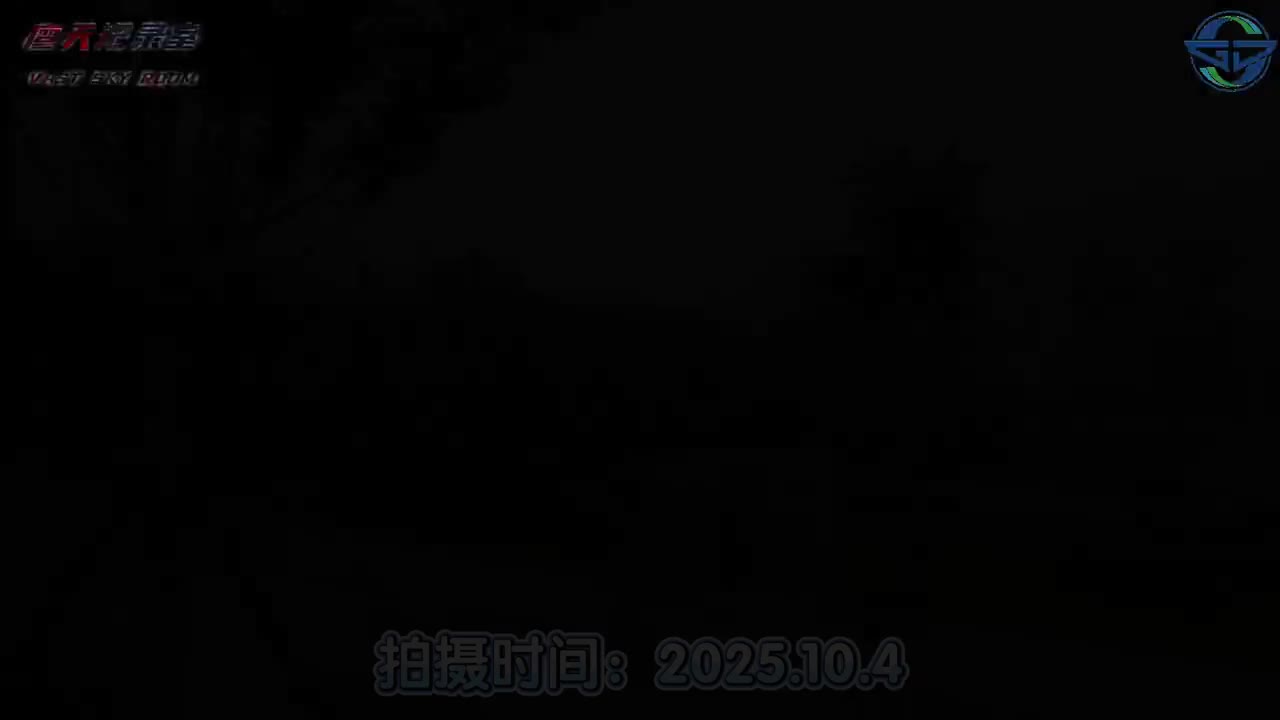 P1 运营实录
