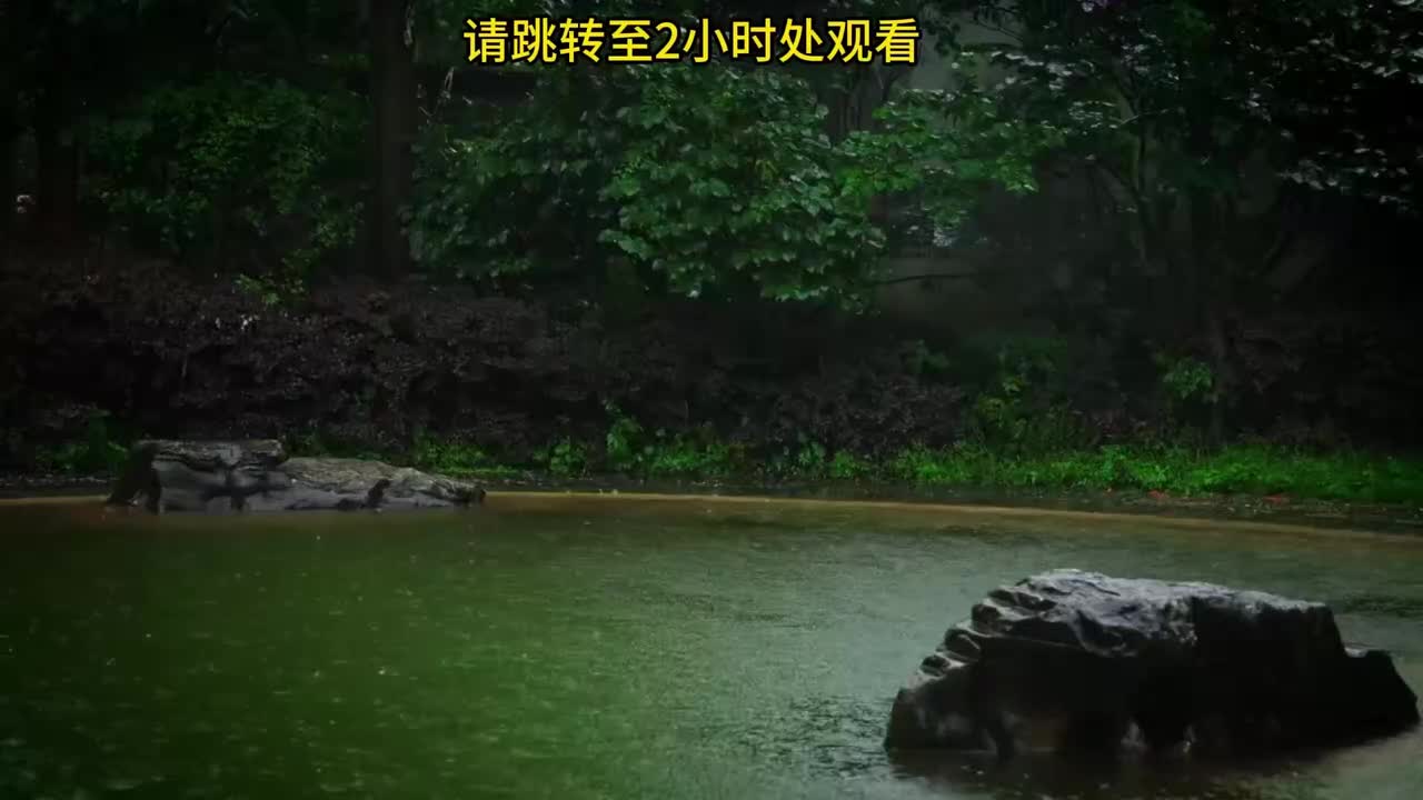 雷雨天5-8