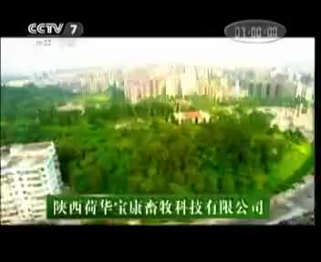 荷华宝康 2012.11.18