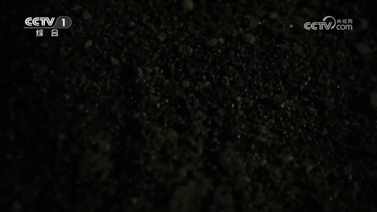 【第9集】和平降临的时刻