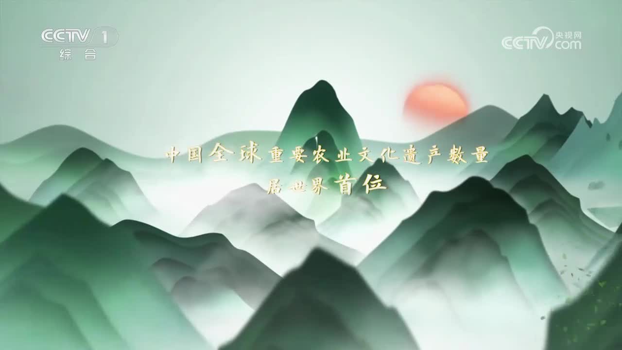 第4集 河北涉县旱作石堰梯田系统