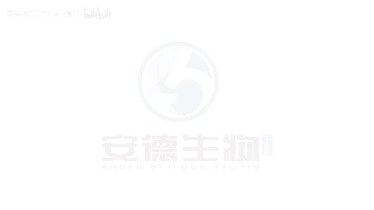 10.有丝分裂和减数分裂