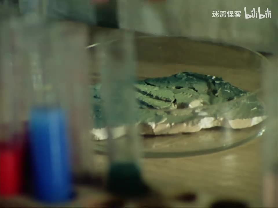 30.复活的化石 吸血三叶虫