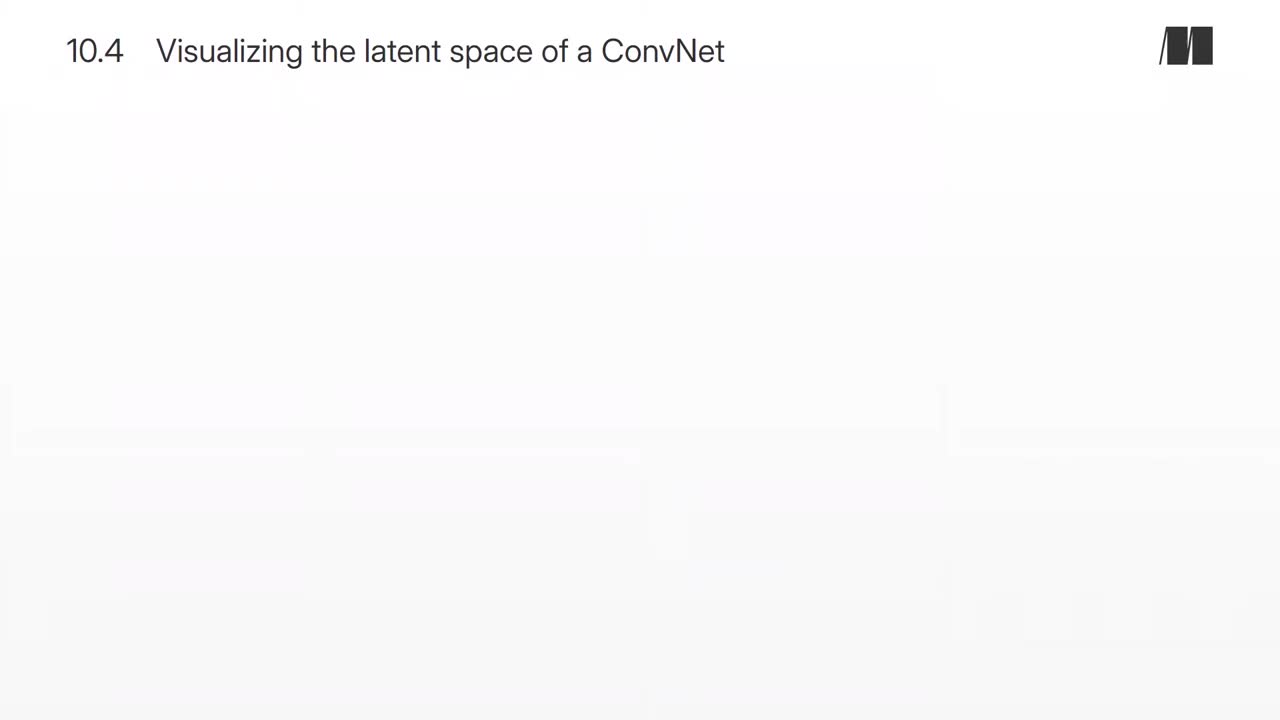 058. Chapter 10. Visualizing the latent space of a ConvNet