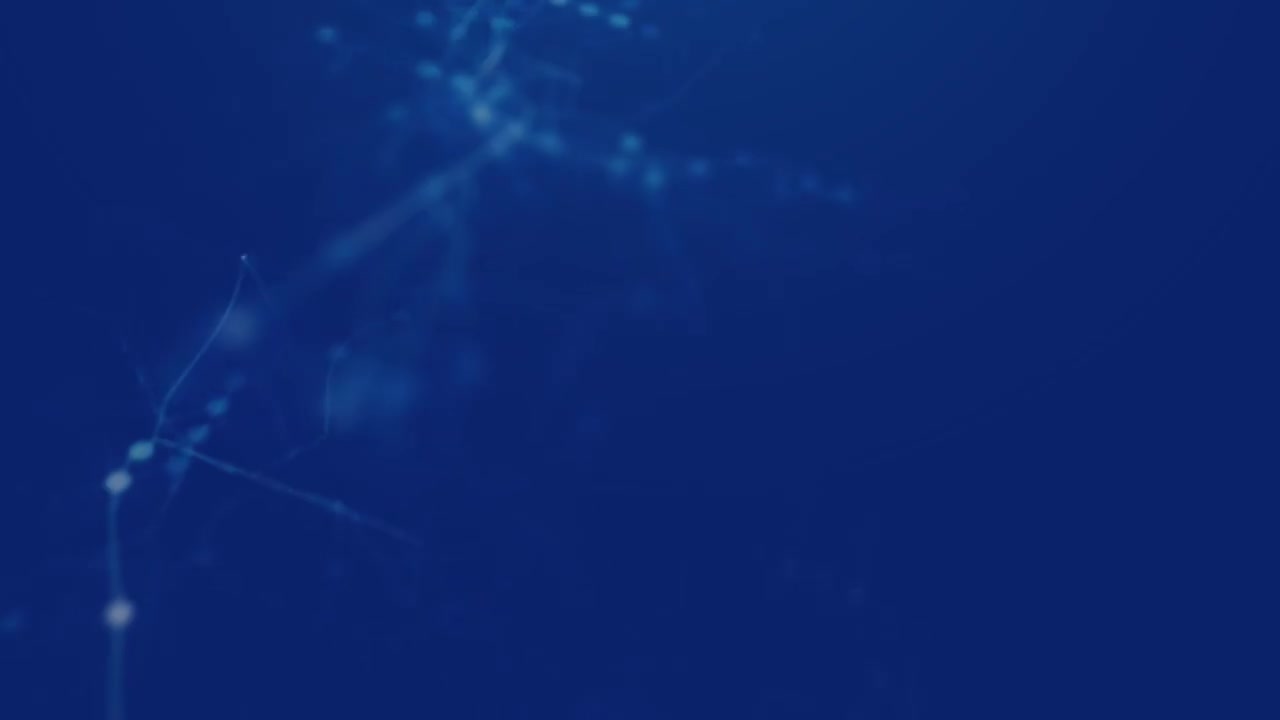 84 企业案例-车辆整个尾灯不工作