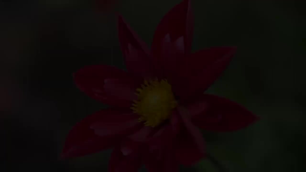 环球风光 (70)_爱给网_aigei_com