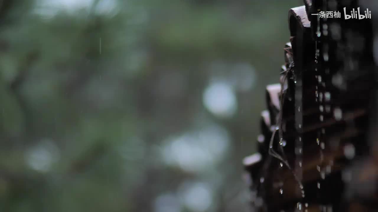 雨中氛围感 (88)