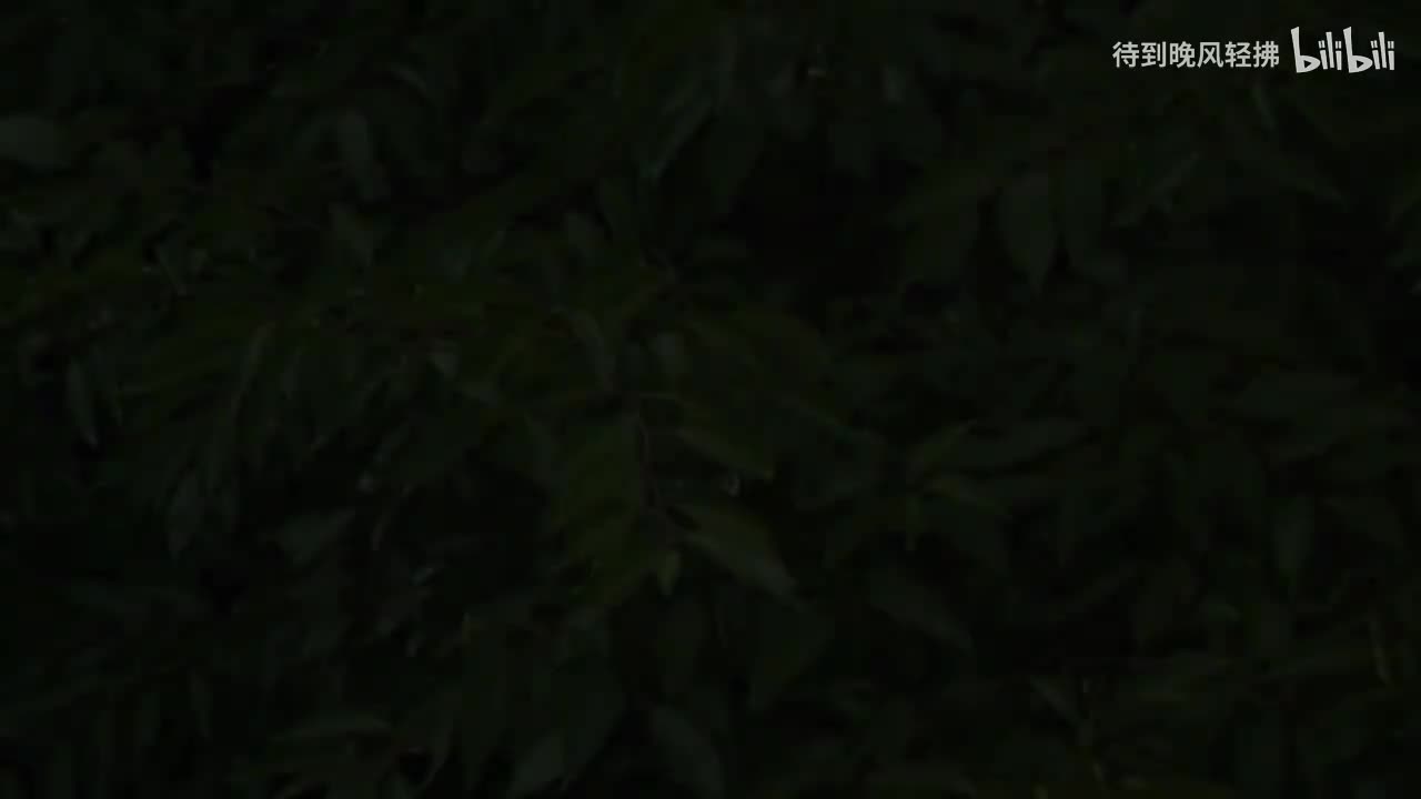 防撞
