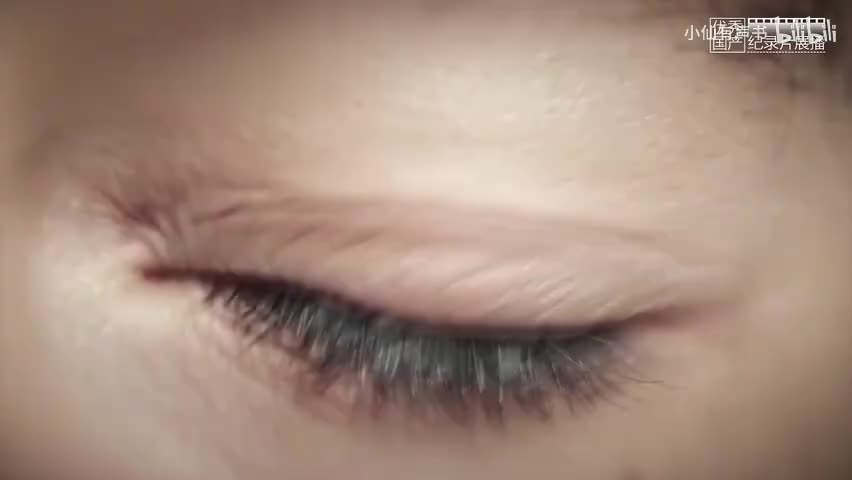 第八集 未来将至（下）