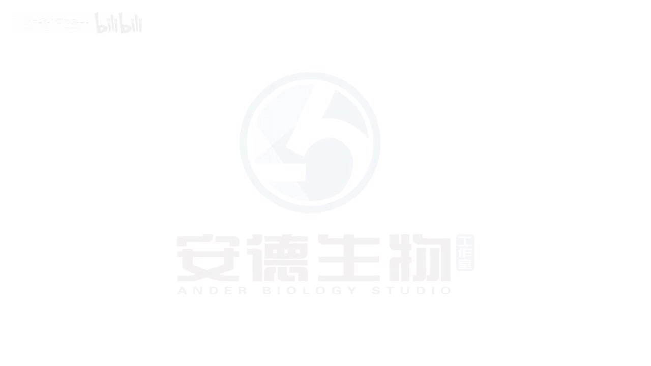 11.细胞分裂图像类题