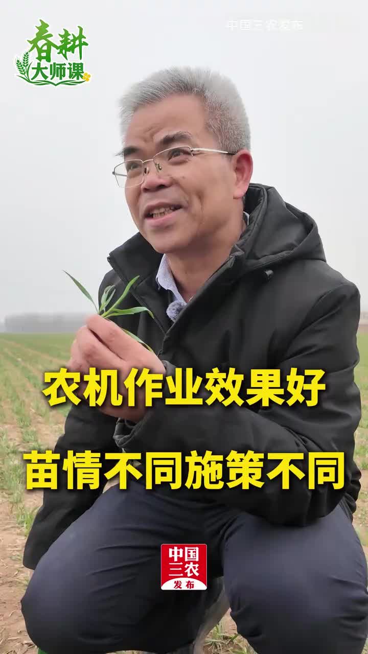 农机作业效果好，苗情不同施策不同