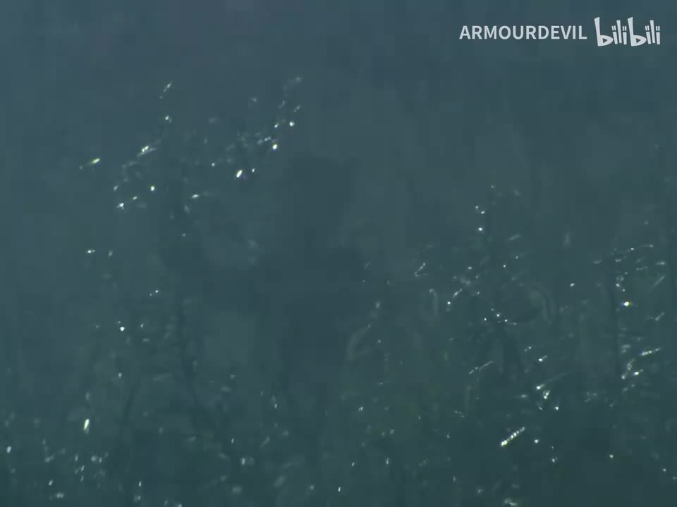 33.怪兽使者和少年