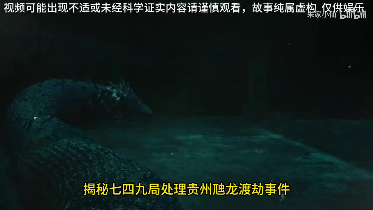 749局处理贵州虺龙渡劫事件