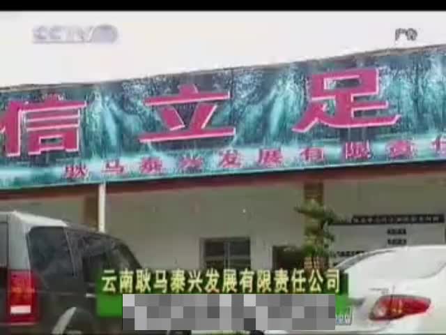 泰兴发展 2010.8.17