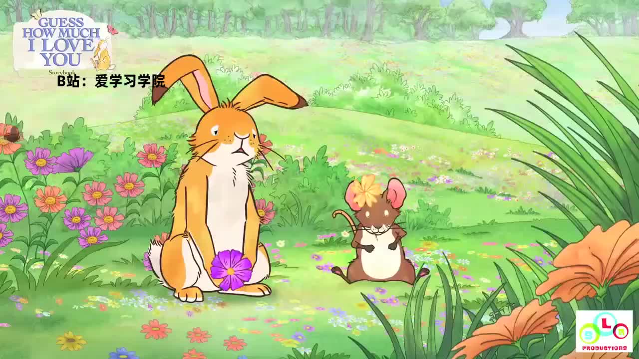 095 GuessHowMuchILoveYouANEWPET