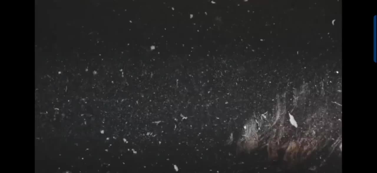 老子不可爱吗（新白娘子传奇）超可爱的一个采访