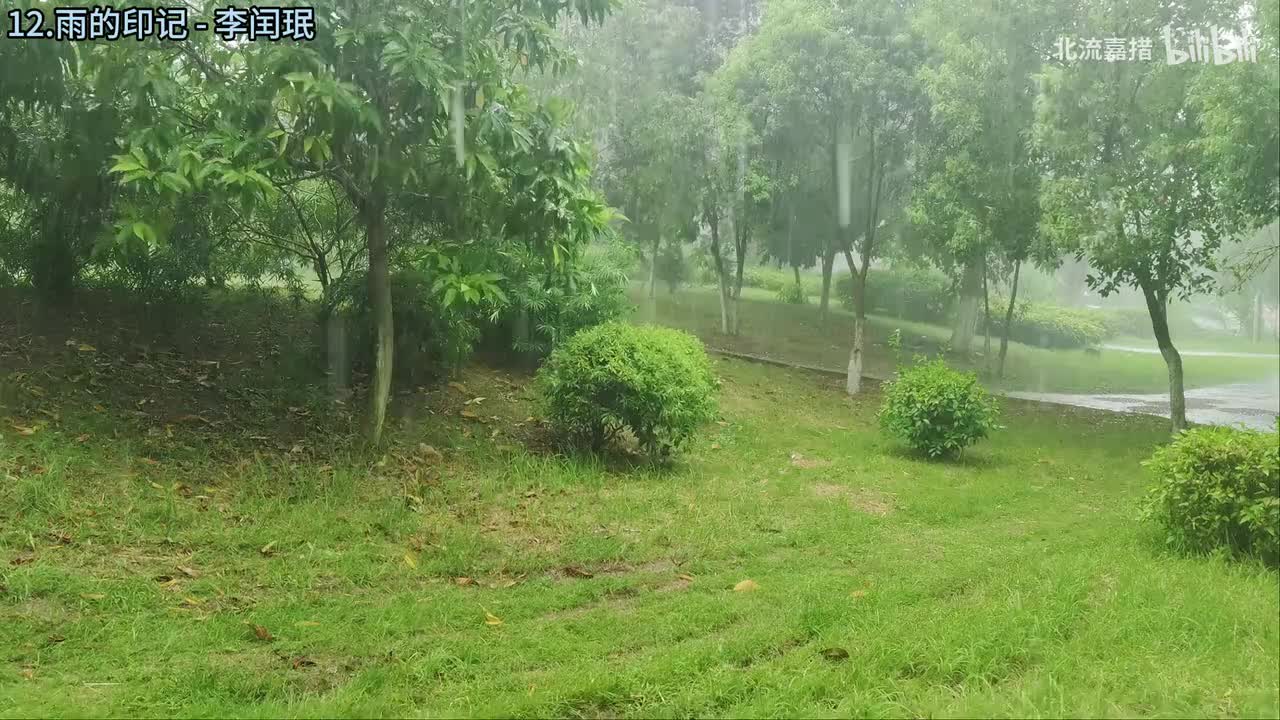 12.雨的印记 - 李闰珉