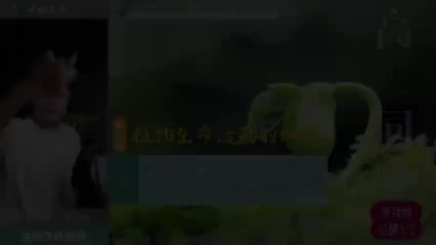 11-14.14.第7讲_核心课_植物生命活动的调节(Av114816874188949,P14)