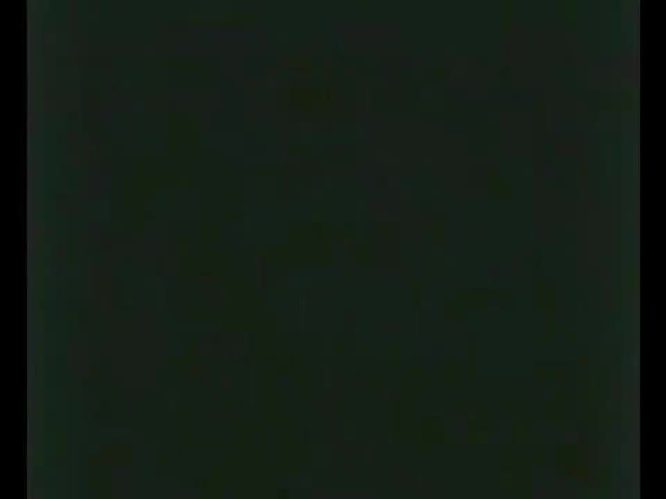 第十二集.狐狸学校