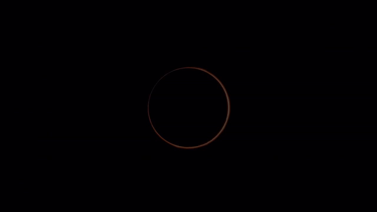 20231015 'ORANGE BLOOD' LOGO TRAILER