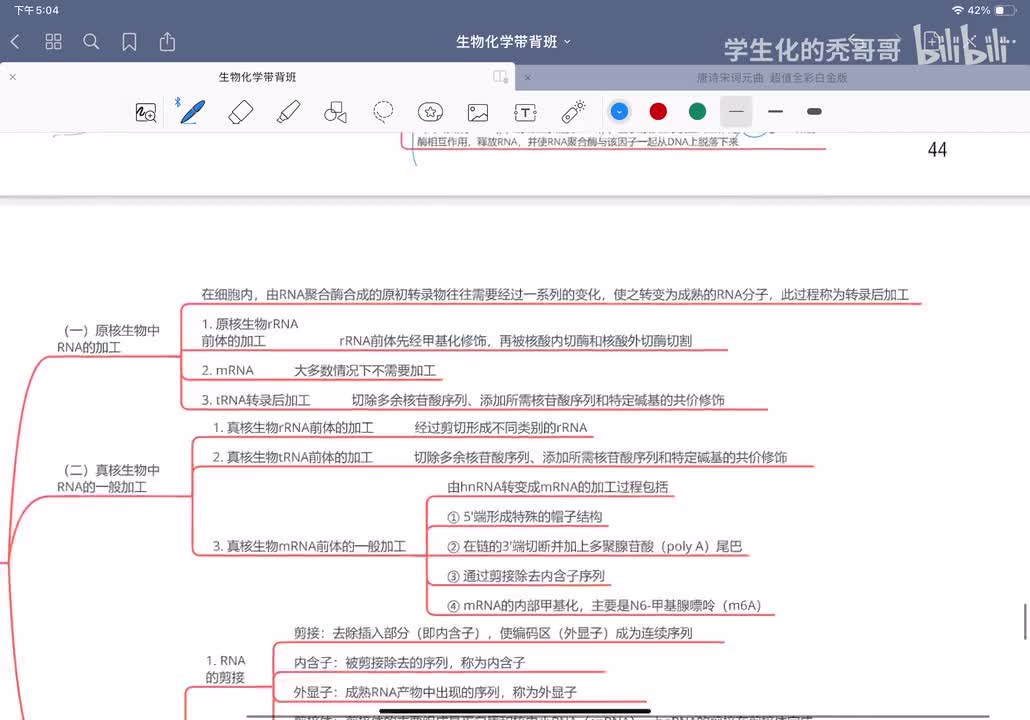22：RNA的生物合成和加工02