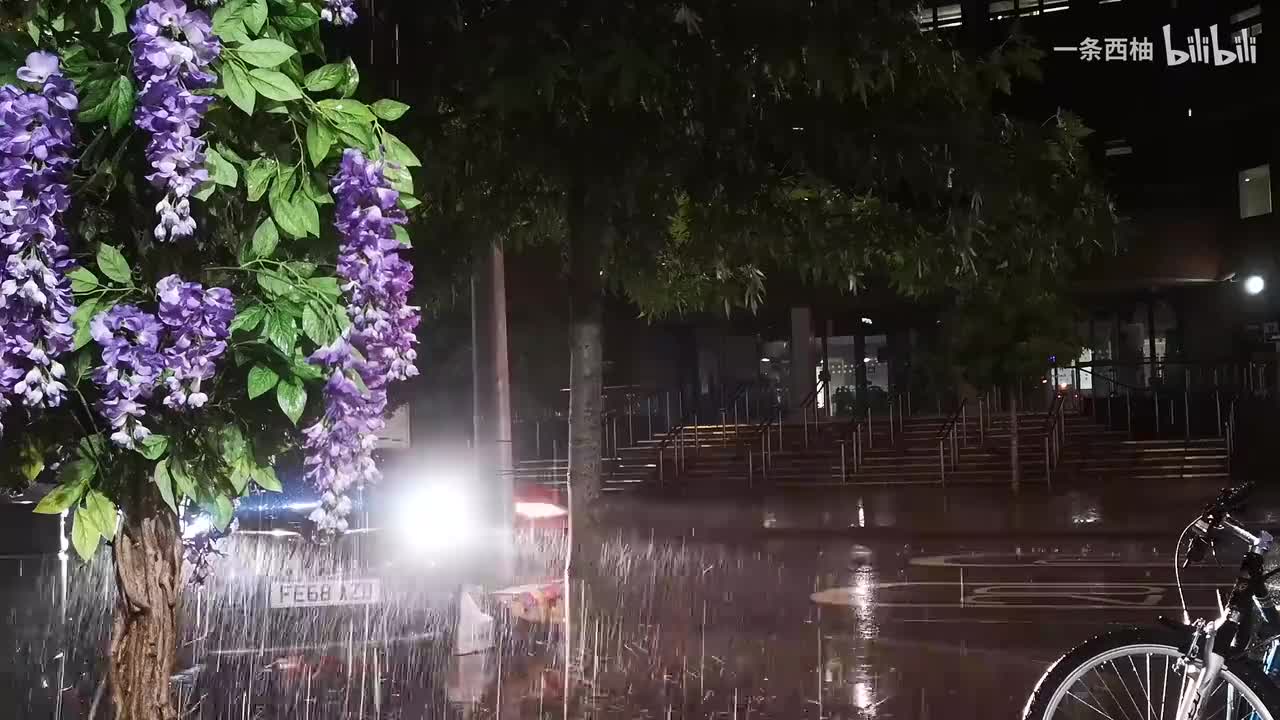 雨中氛围感 (22)