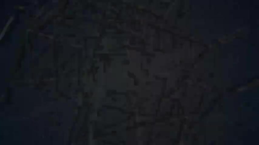 83--看微课：母线及运行