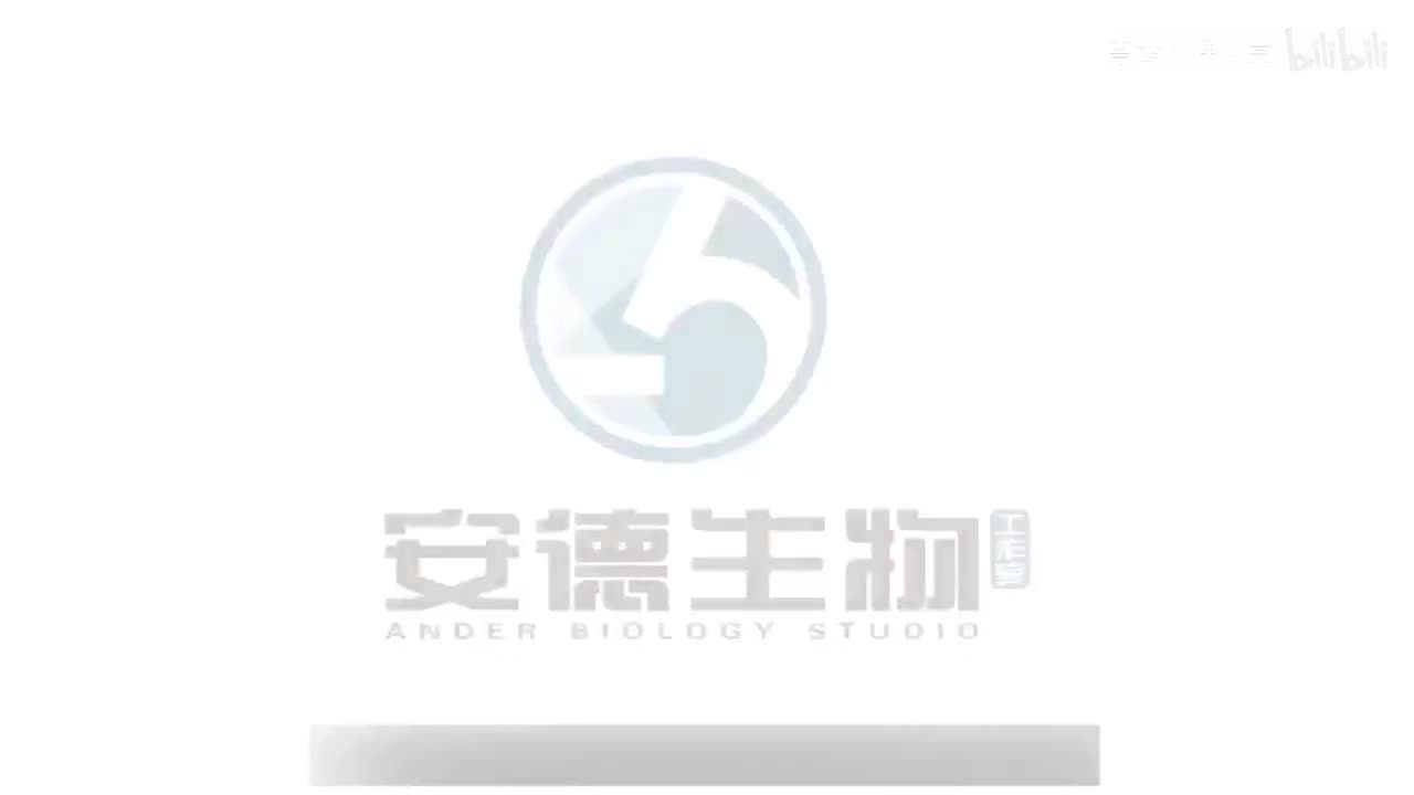 03.病毒完全解读