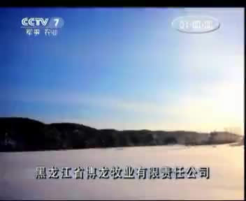 博龙 2012.12.21