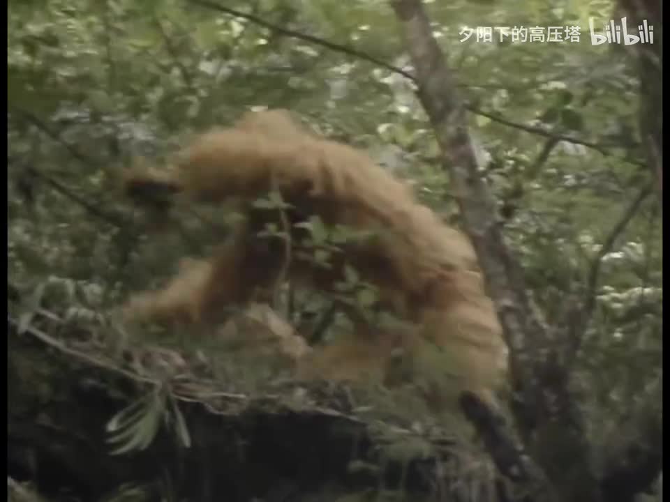 第1集 猴王初问世（3）