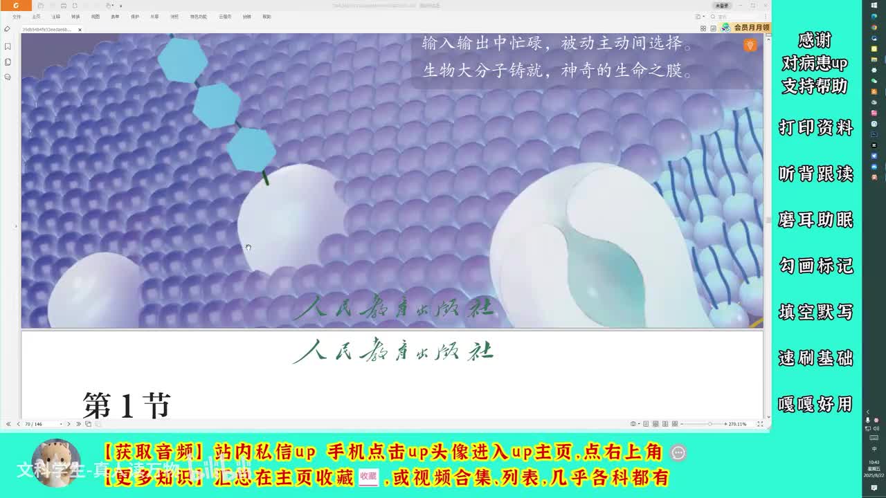 4.1被动运输