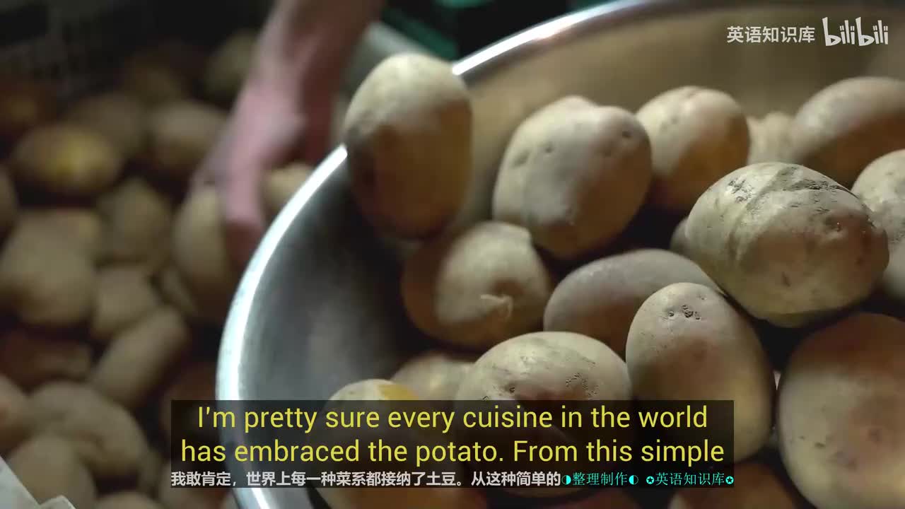 14.英文+中文. 🥔 我们如何对气候进行分类？ 地理速成课 #13