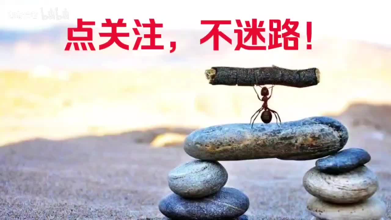 点关注，不迷路！