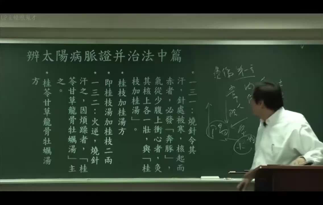 21_太阳病中篇：条辨131到133-桂枝加桂汤、桂苓甘草龙骨牡蛎汤