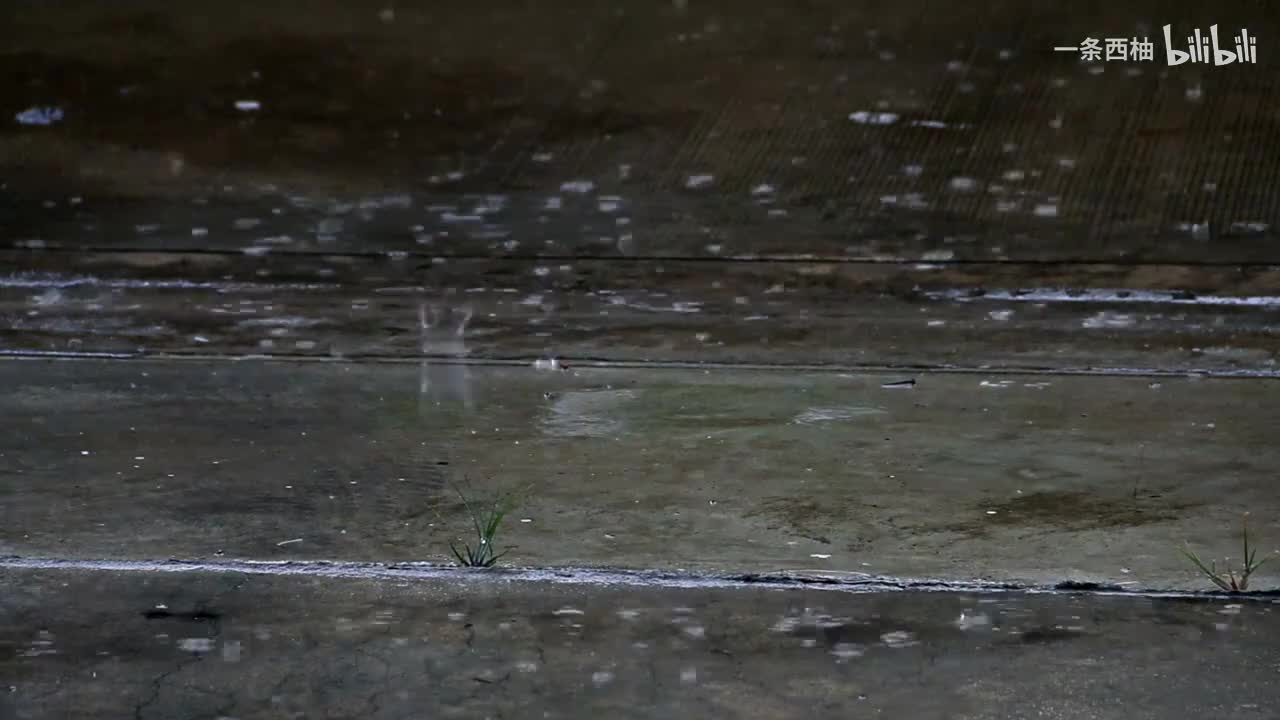 雨中氛围感 (83)