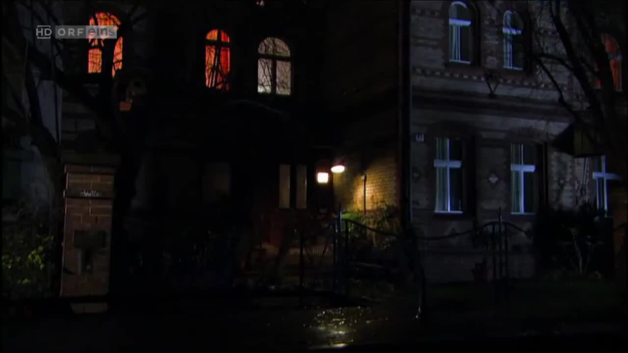 Türkisch für Anfänger (Season 2 Episode 18) Watch German TV series (German Subti