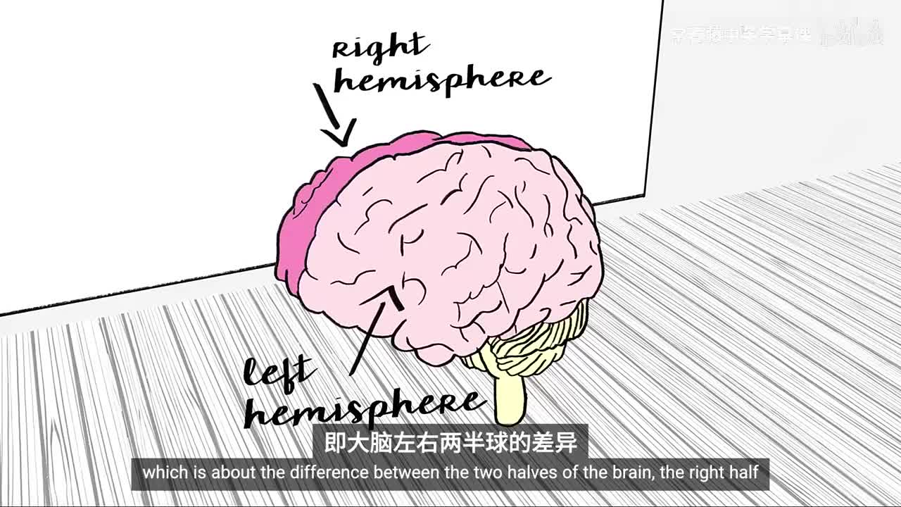 2_01_05_我们的两个大脑