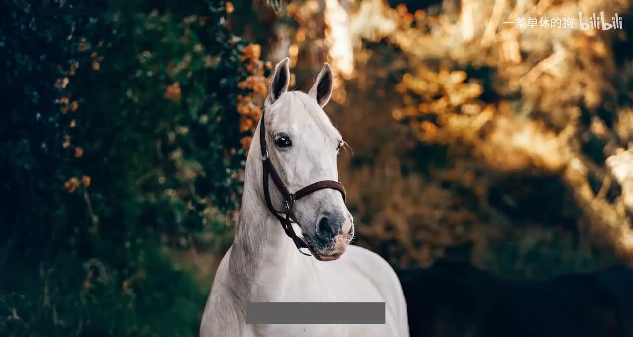 【POWERBI】9. Power Query_M函数_三大容器