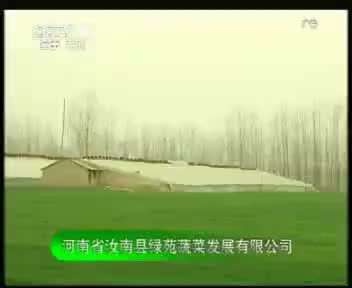 绿苑 2012.4.10