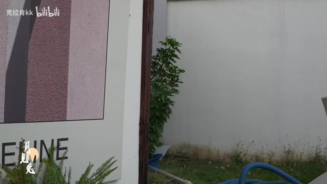 录制-286893-20251227-174226-569-喵喵球摄影签售会