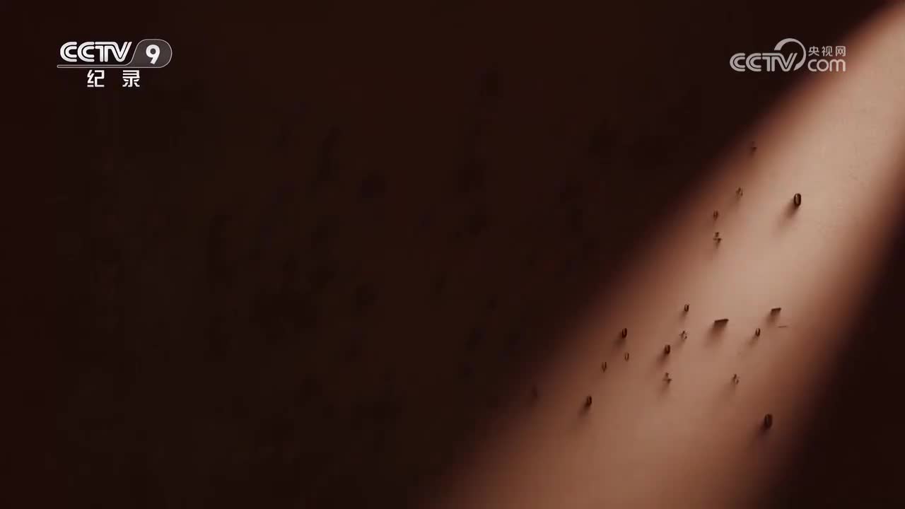 第3集 于无声处