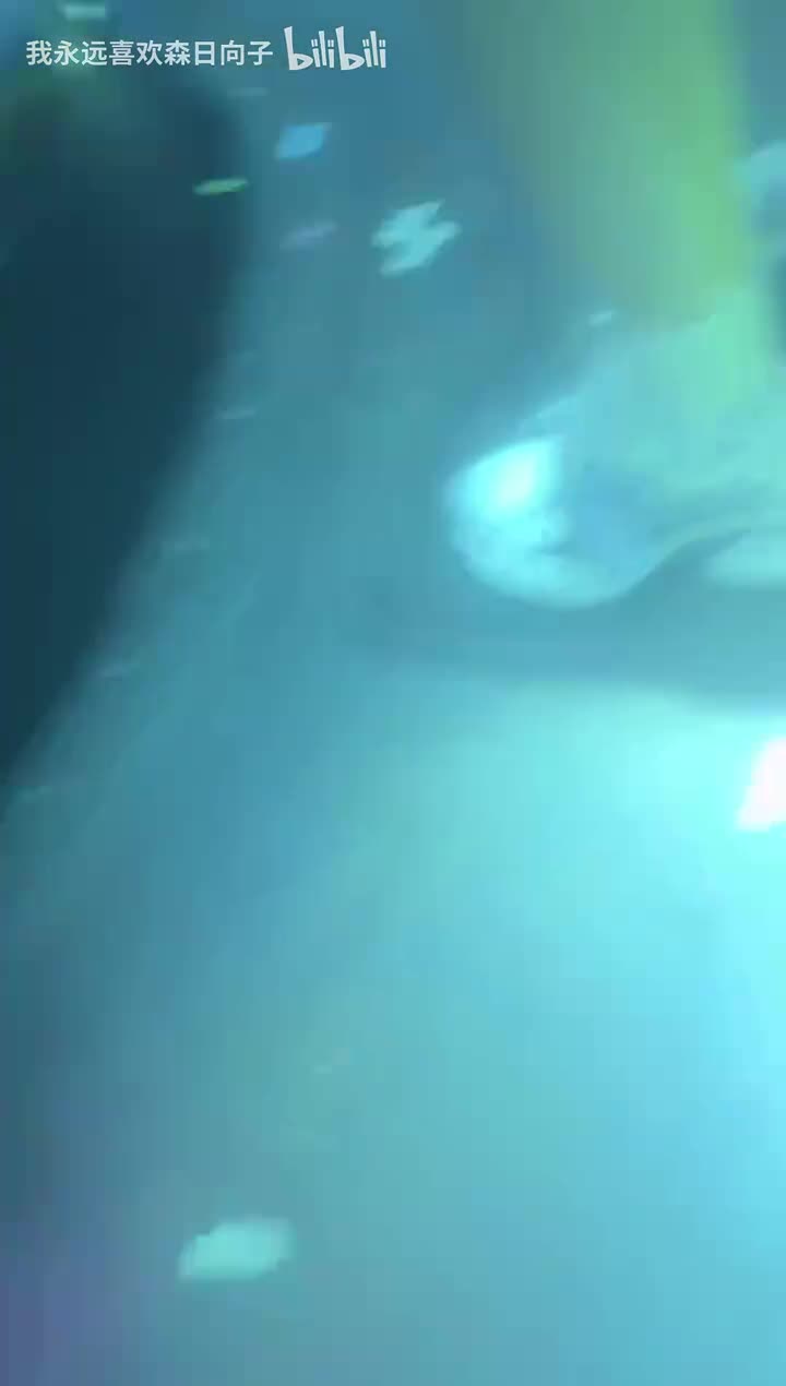 Cc正在直播_202605241921_0