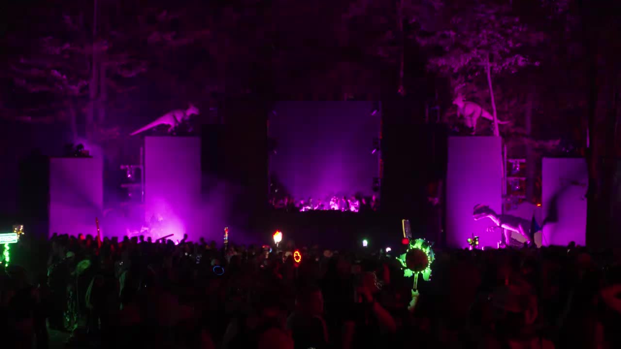 Perry Wayne official