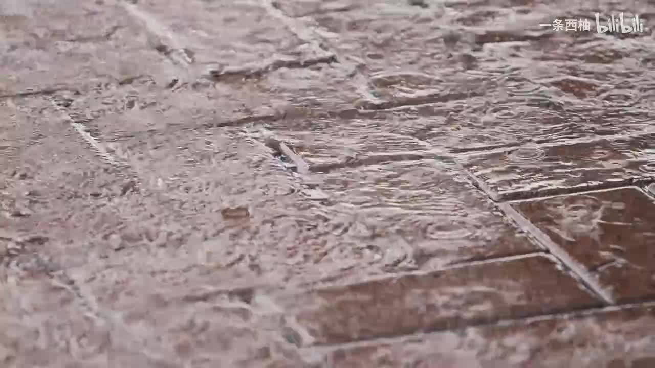 雨中氛围感 (31)