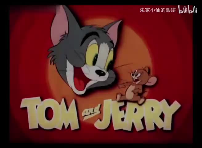 受难的猫咪们